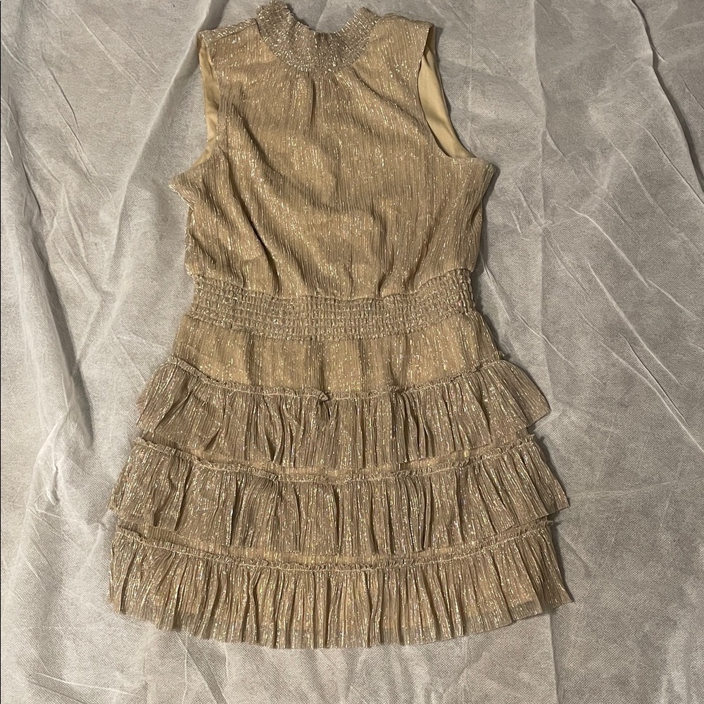 Express Gold Tiered Mini Dress
